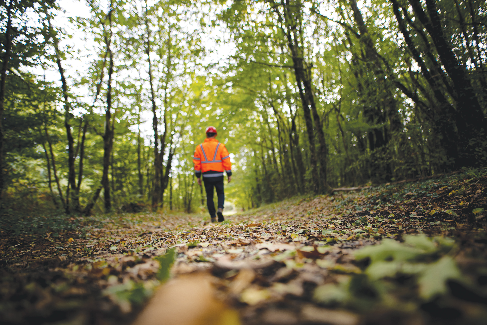 BERGA Sustainability