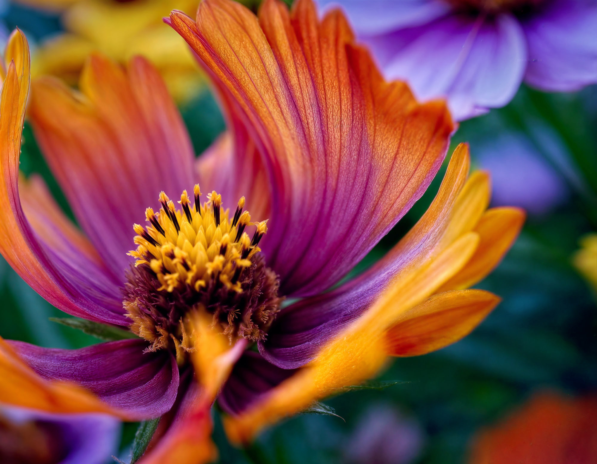 BERGA paper - bringing you better